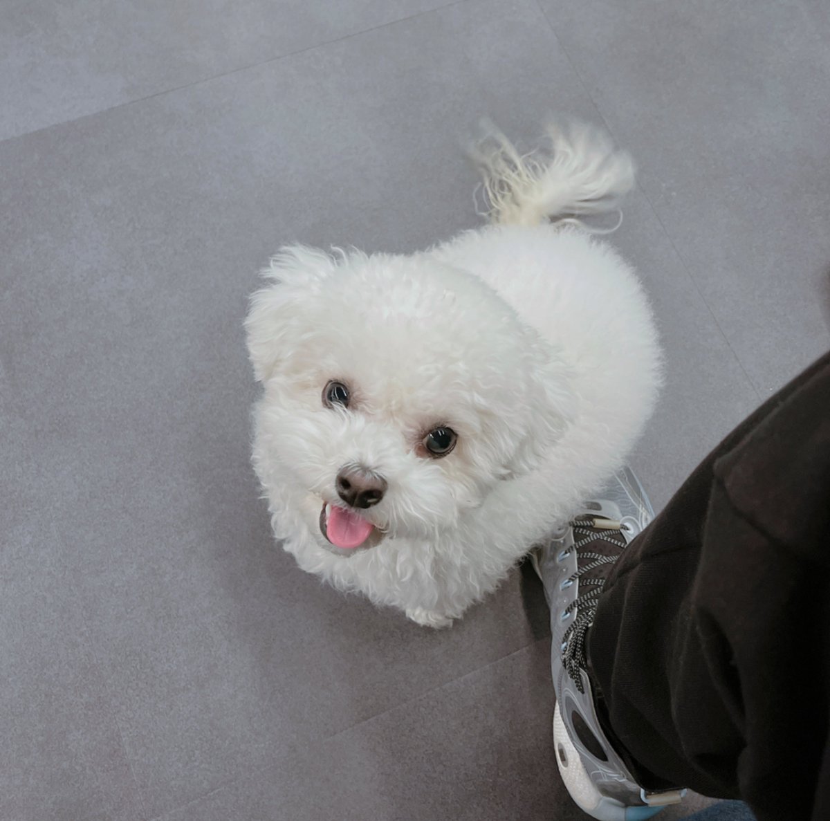 daegal in chenle's bbl pfp~