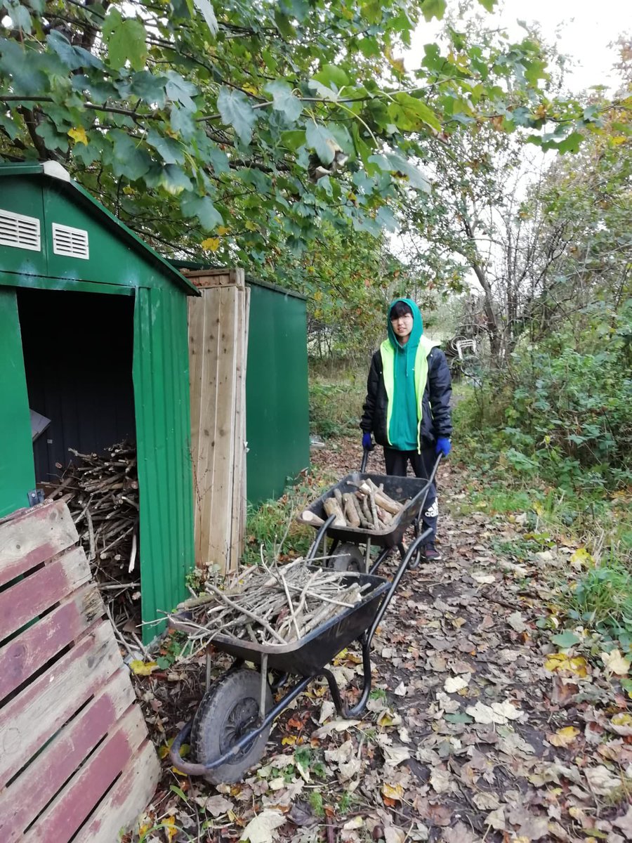 WCWCatford's tweet photo. Yet another varied #volunteer session. Sorting #chillies in the #polytunnel; wood cutting to go in our #woodstore; the #fieldbeans are growing; leaf printing plus we are continuing to clear an area for a new growing area in the #orchard. Thanks to our wonderful #volunteers. https://t.co/1VlH7LVekL