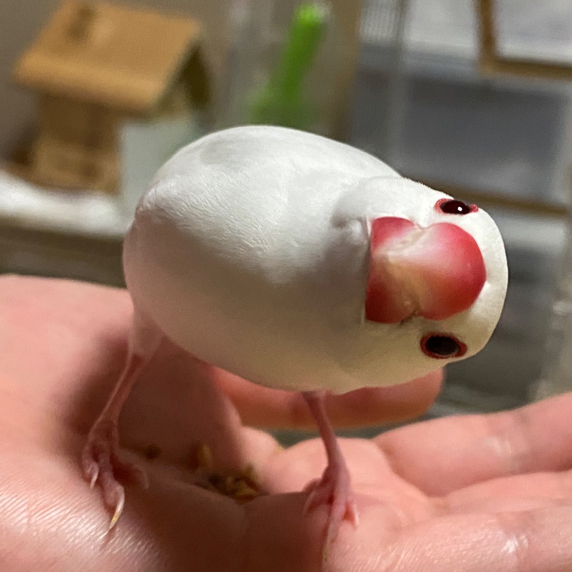 rosetta0528's tweet photo. 🥰 https://t.co/nLmE63Yh9I