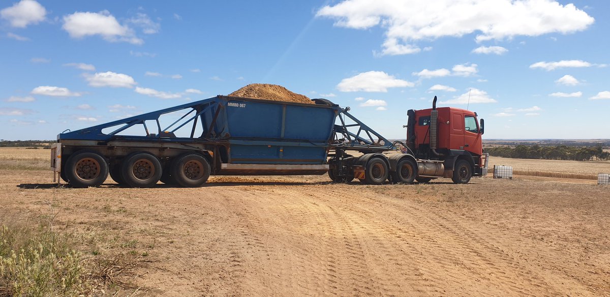 Fiona Palmer tweet media