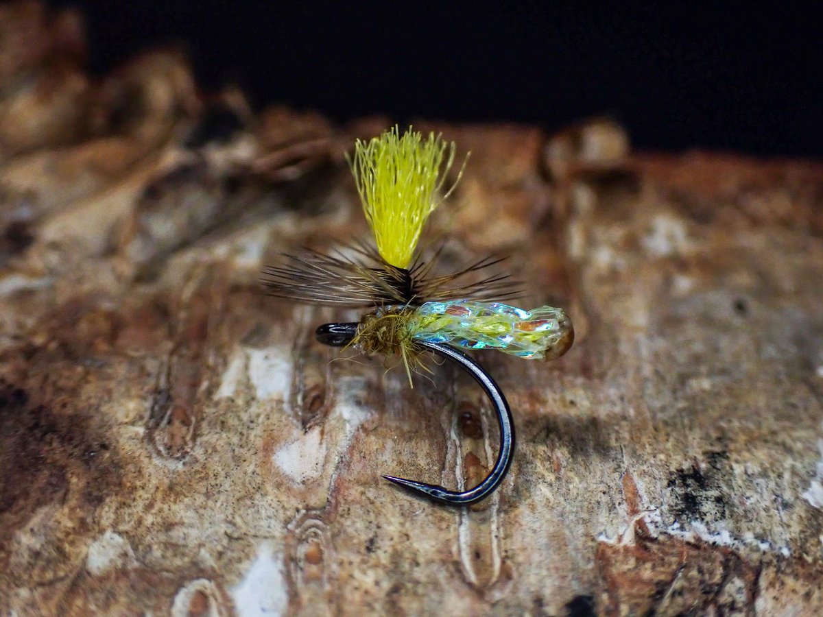 Semperfli Fly Tying tweet media