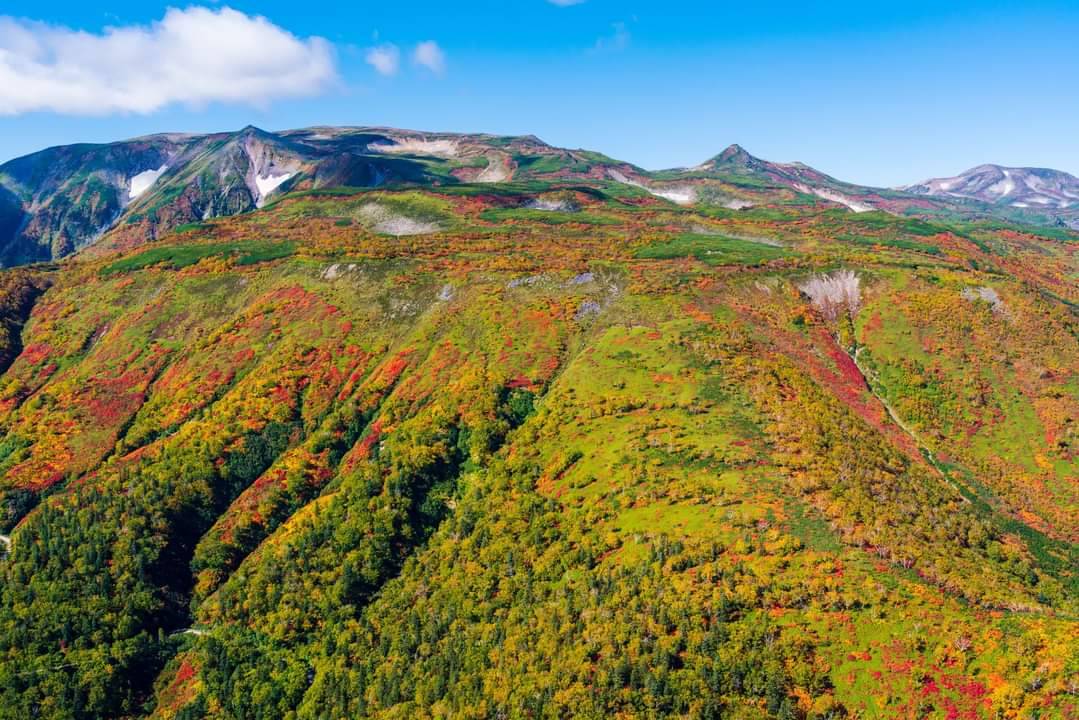 aerotoyota_1955's tweet photo. 🚁ヘリコプターからの景色🚁
日本で1番早く #紅葉シーズン を迎えることで有名な北海道の大雪山系📷✨
9月中旬、#Bell430 の機内から見えた旭岳や黒岳は、コントラストが鮮やかでした🍁
今週末、各地で #紅葉狩り に行かれる方、どうぞお気をつけて😊
Aerial views of HOKKAIDO, Japan from 🚁 https://t.co/oUEe8hDCfe