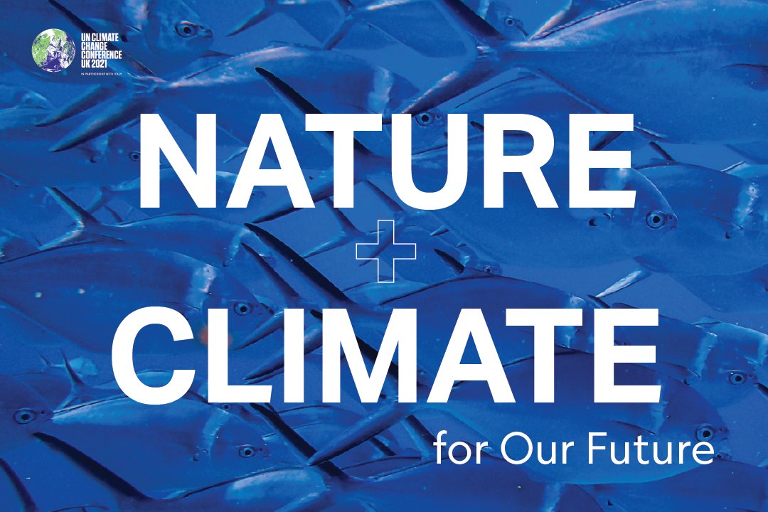 There is no future without a healthy ocean🌊💙

Did you know that the ocean absorbs 25% of all CO2 produced by humans and is the largest carbon storehouse on the planet?💭

Today is Ocean Day at #COP26. Let's conserve the oceans today and every day.

via @WyssCampaign