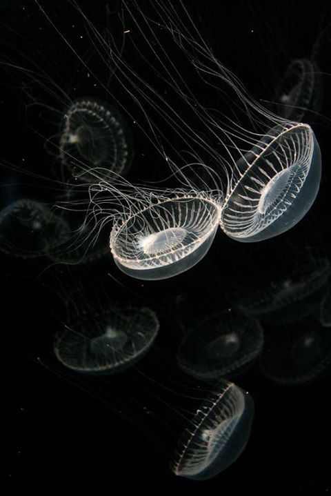 archillect's tweet photo. https://t.co/RgKMLBLeW2