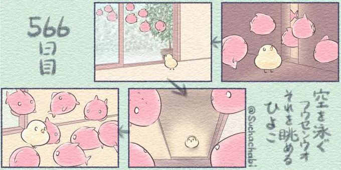 566日目 空を泳ぐフウセンウオそれを眺めるひよこ 