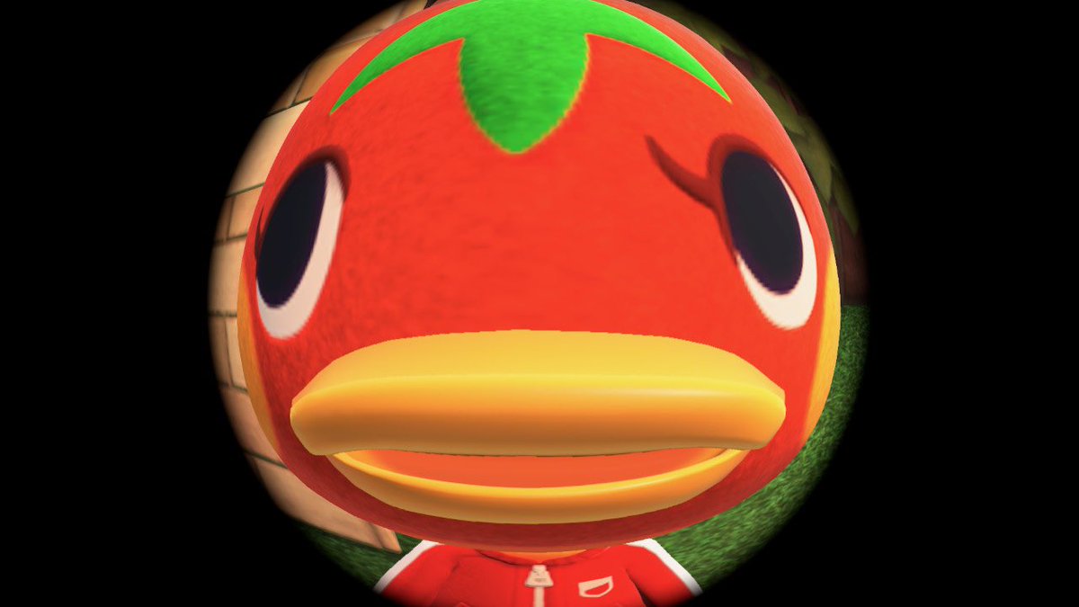 acnhtati's tweet photo. @sugarflrt fav villager is definitely ketchup 🥺 she’s bestie 4 life https://t.co/JnuN4UDLgE