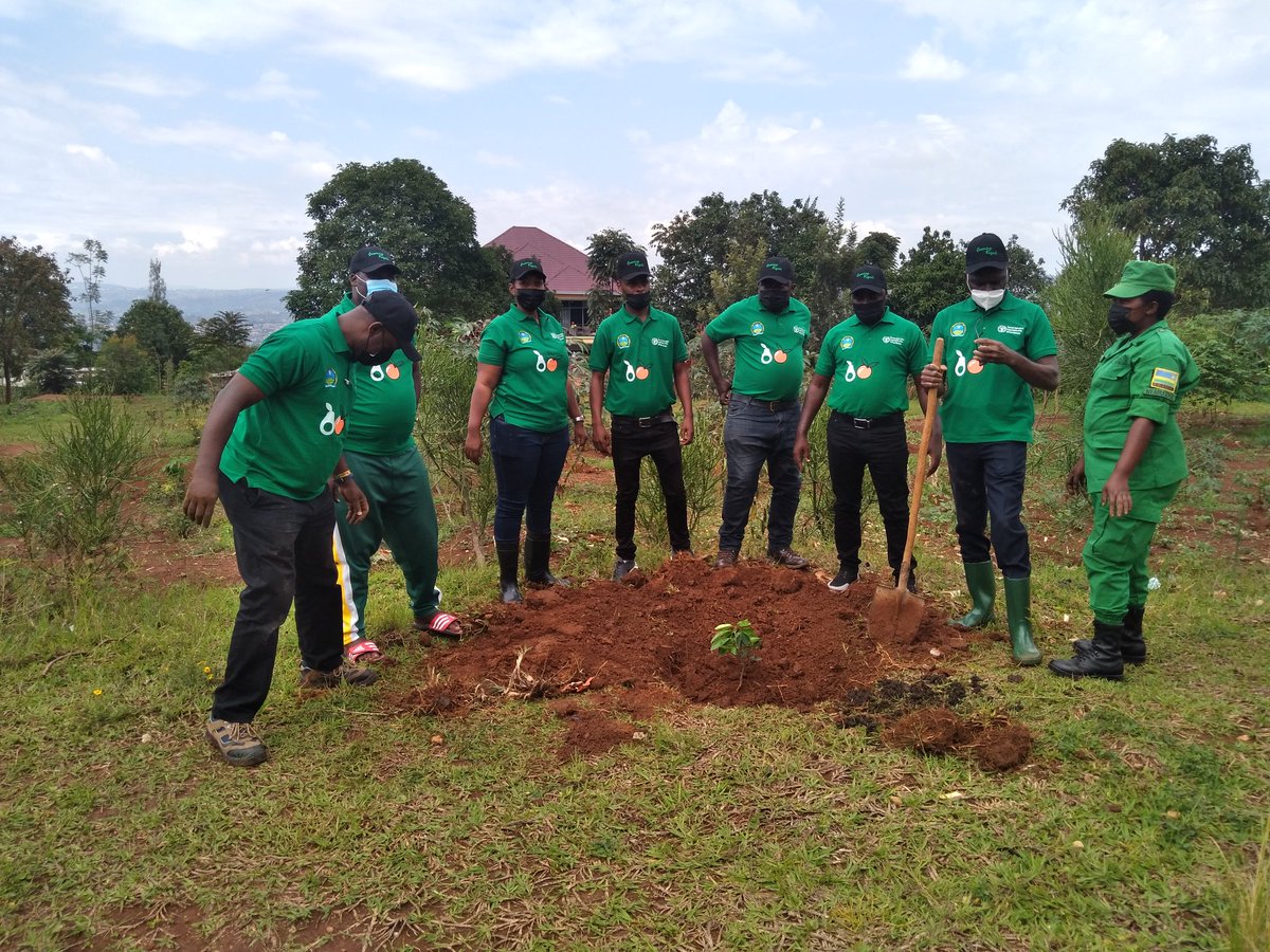 Nyarugenge's tweet photo. Muri gahunda ya #GreenKigali Umuyobozi wungirije @CityofKigali ushinzwe iterambere ry'ibikorwa remezo n'imiturire  @merardmp yifatanyije n'abaturage b'Umurenge wa @SectorKigali1 mu gutera ibiti by'imbuto n'iby'Umurimbo mu Mudugudu w'Ikitegererezo wa Karama. https://t.co/U5rDg4AxR2