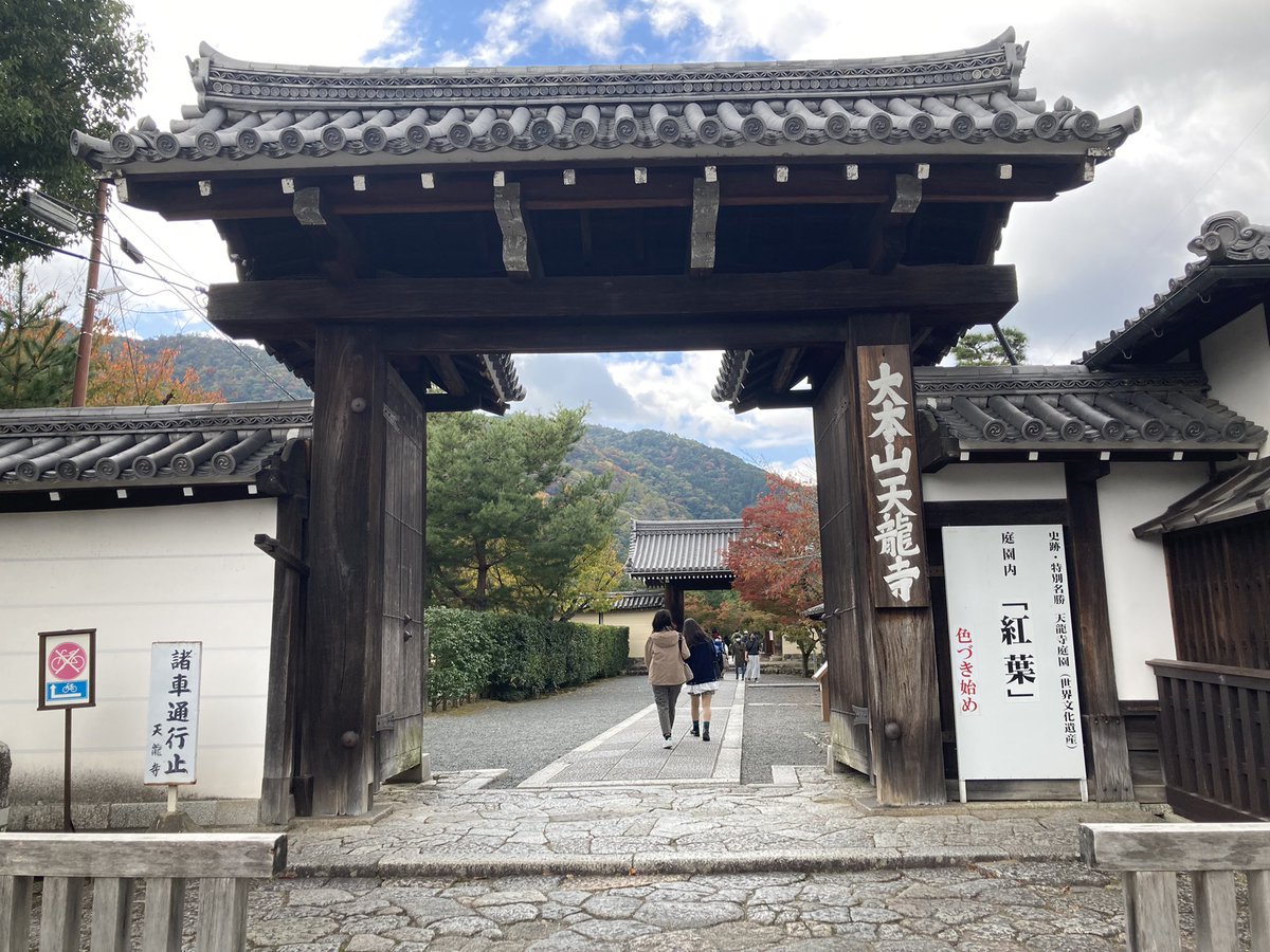 どんまる Don Maru Twitter