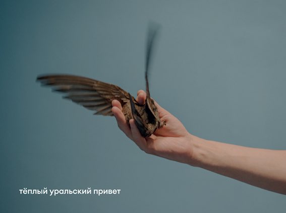 Не открытки, а мёд на сердце 🫂

Кстати, автор снимков — визуальный документалист Сергей Карпов. Вот тут можно почитать его исследование о местах проведения Уральской биеннале: pole.uralbiennial.ru.