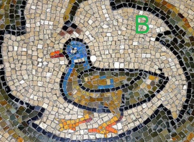 romanpalace's tweet photo. Today we're holding Twitter's first ever...
🦆DUCK-OFF🦆!!!

Follow the thread to vote for your favourite duck. 😍

It's important, and it matters. https://t.co/KbkL1bAi1g