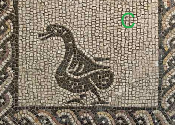 Today we're holding Twitter's first ever...
🦆DUCK-OFF🦆!!!

Follow the thread to vote for your favourite duck. 😍

It's important, and it matters.