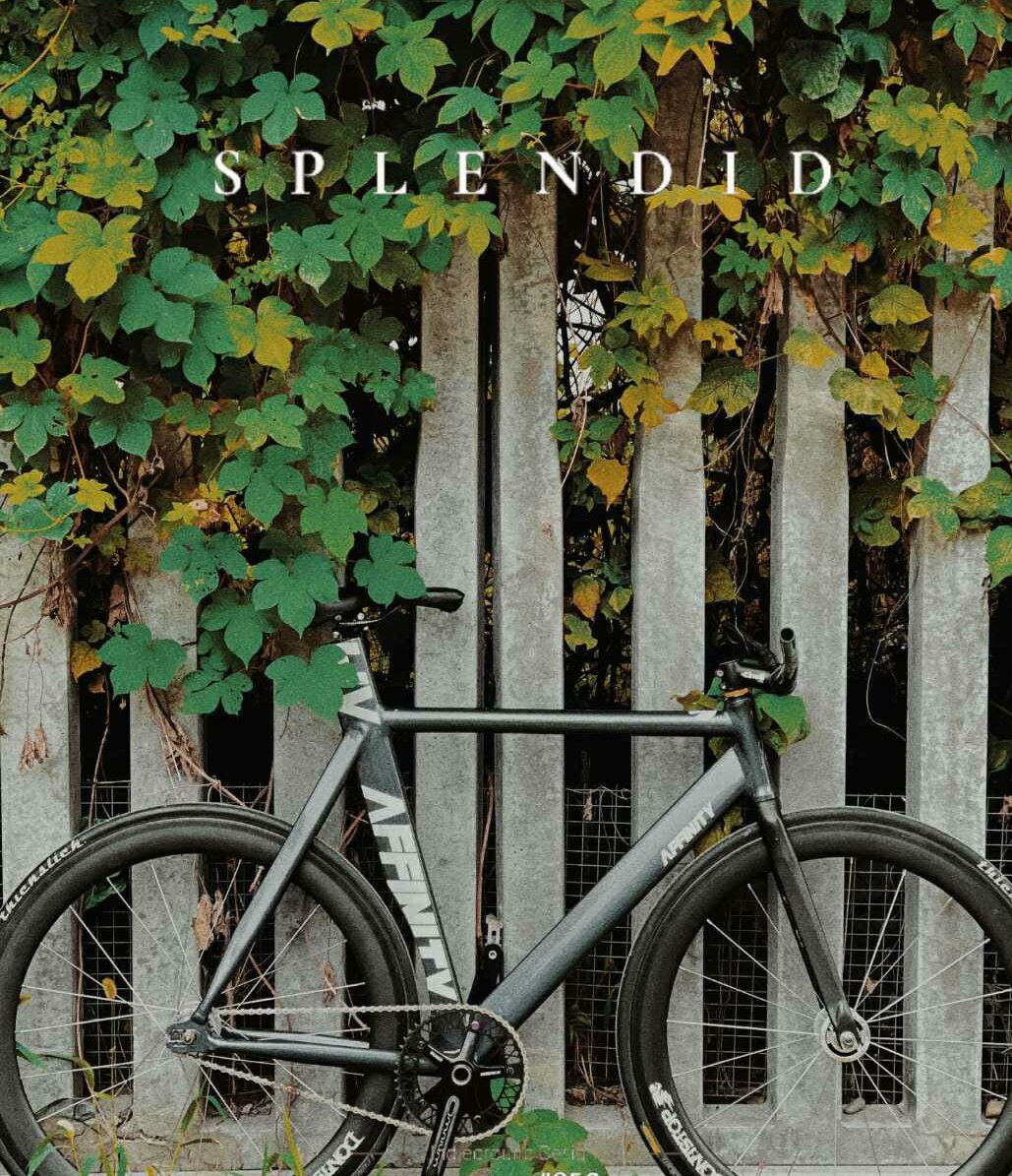 Prasetya Nugroho tweet media