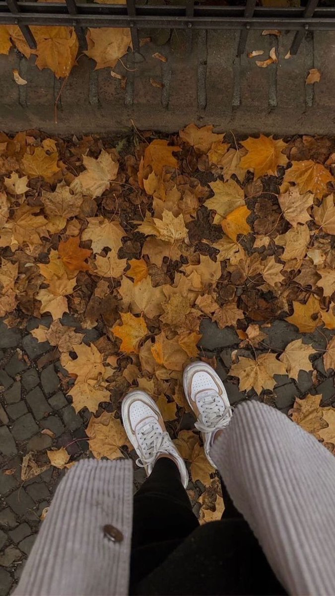 vanillascents's tweet photo. november has so much to offer, enjoy it 🍁 https://t.co/v4jdARpbDM