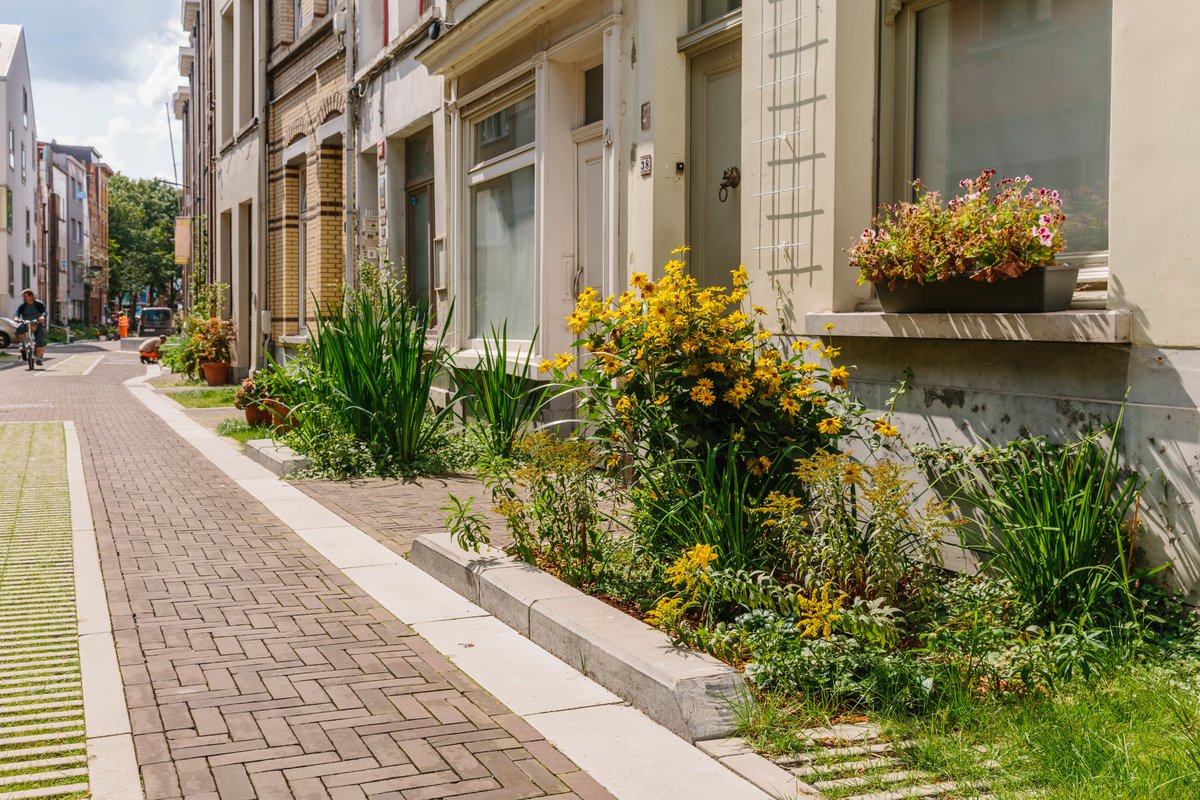 Stad_Antwerpen's tweet photo. 🎉 Woop woop, Antwerpen heeft zijn eerste officiële #tuinstraat. 🌳De Lange Ridderstraat in de wijk #SintAndries krijgt de eer. Een tuinstraat is een straat met veel groen, waar het water in de grond kan doordringen 👉 https://t.co/WQp3WpQ3qC https://t.co/1lSFF0IwIR