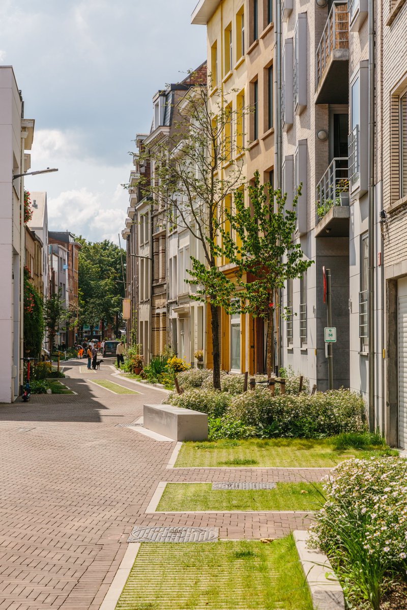 Stad_Antwerpen's tweet photo. 🎉 Woop woop, Antwerpen heeft zijn eerste officiële #tuinstraat. 🌳De Lange Ridderstraat in de wijk #SintAndries krijgt de eer. Een tuinstraat is een straat met veel groen, waar het water in de grond kan doordringen 👉 https://t.co/WQp3WpQ3qC https://t.co/1lSFF0IwIR