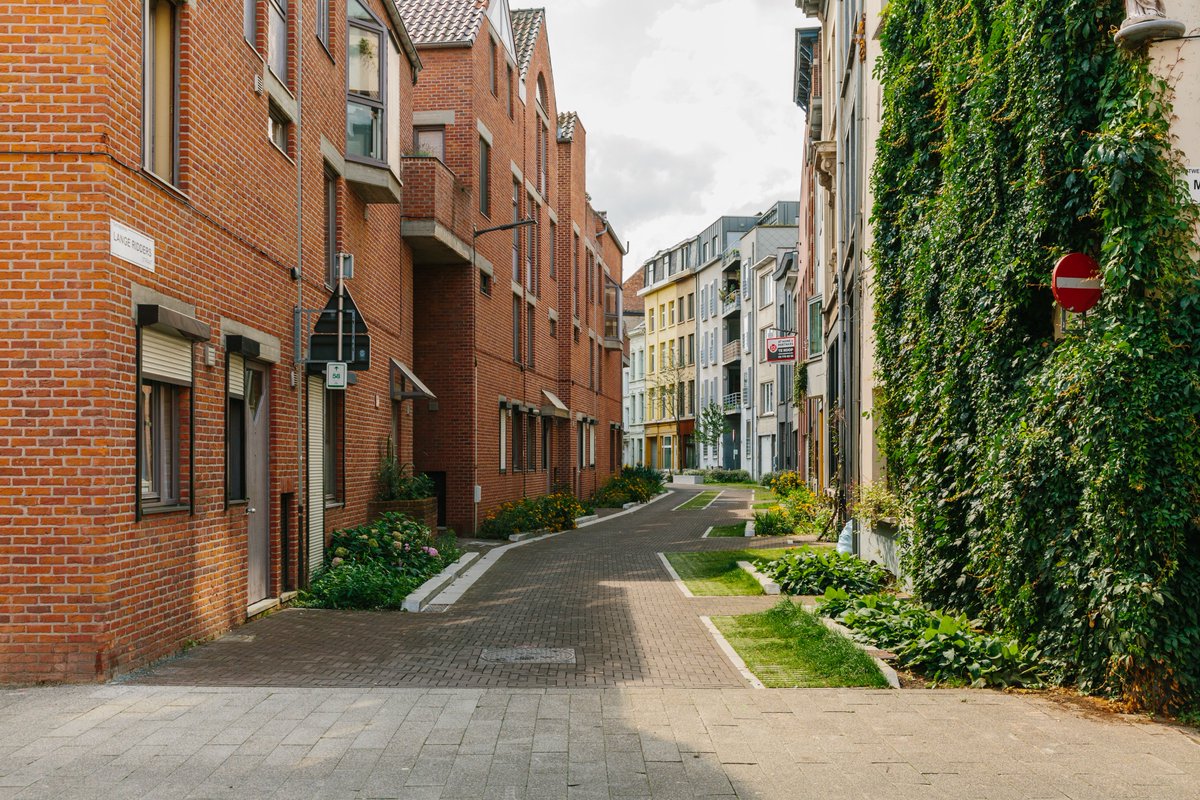 Stad_Antwerpen's tweet photo. 🎉 Woop woop, Antwerpen heeft zijn eerste officiële #tuinstraat. 🌳De Lange Ridderstraat in de wijk #SintAndries krijgt de eer. Een tuinstraat is een straat met veel groen, waar het water in de grond kan doordringen 👉 https://t.co/WQp3WpQ3qC https://t.co/1lSFF0IwIR
