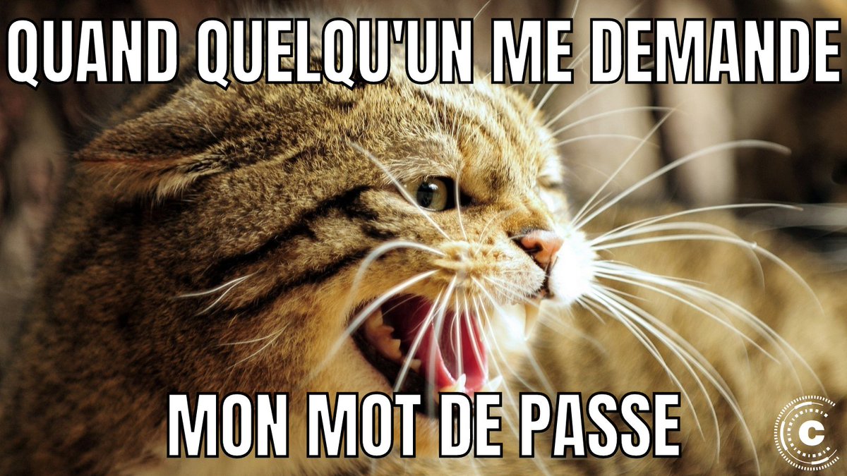 Certilience's tweet photo. Pour sécuriser au maximum vos accès, vous devez avoir un mot de passe composé au minimum de 12 caractères (majuscules, minuscules, chiffres et caractères spéciaux), basé sur une séquence aléatoire et unique.  A vos claviers ! https://t.co/Y2jhHPRuzb
