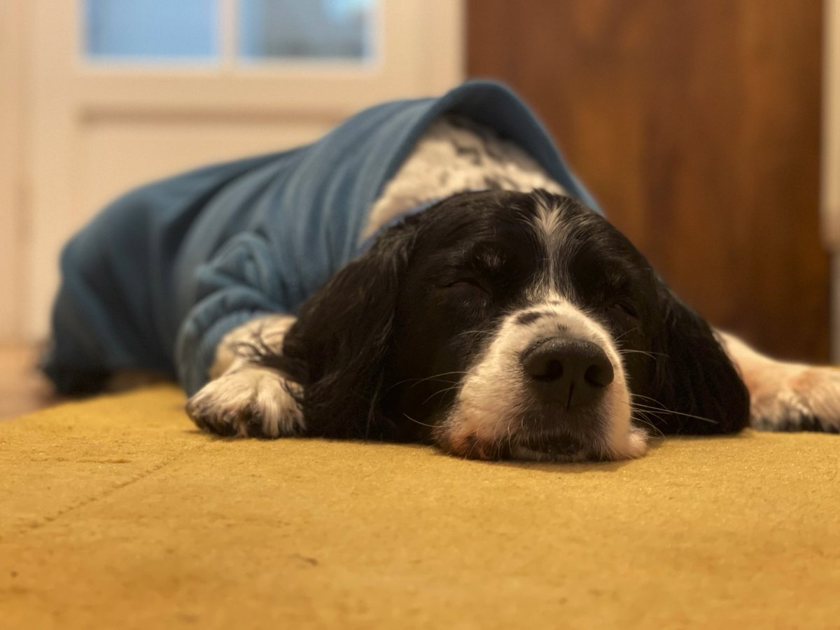 We made it to Friday ! Just leave me on the heated floor in my lounge wear, it’s close enough to the weekend 😎