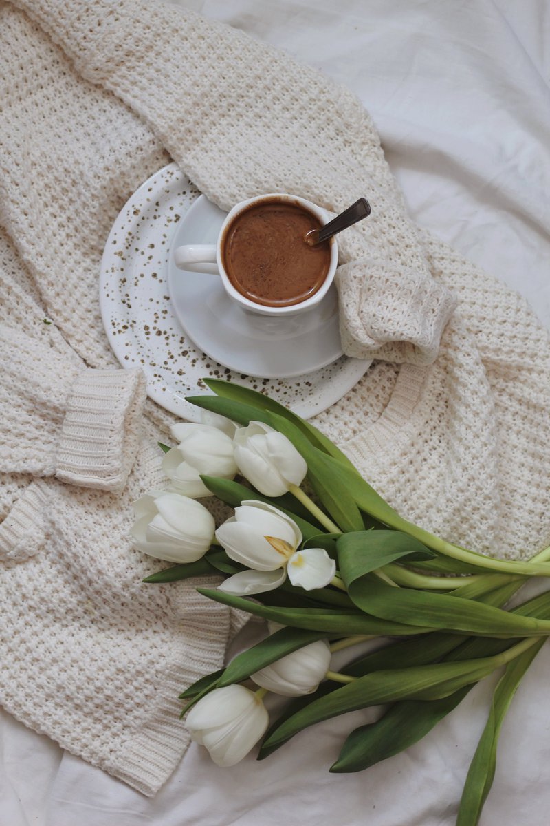 TNatural4's tweet photo. ＲＥＣＥＴＡ ＶＥＧＡＮＡ  🌱🌿🌿
Chocolate caliente con ingredientes naturales

Mírala en Facebook o Instagram👇👇👇

https://t.co/CrM3m6CBUG

https://t.co/kloLiQvmHF

#Recetas #vegetarian #veganism #vegans #Chocolate #leche #almendra https://t.co/fIBWEnel9Y
