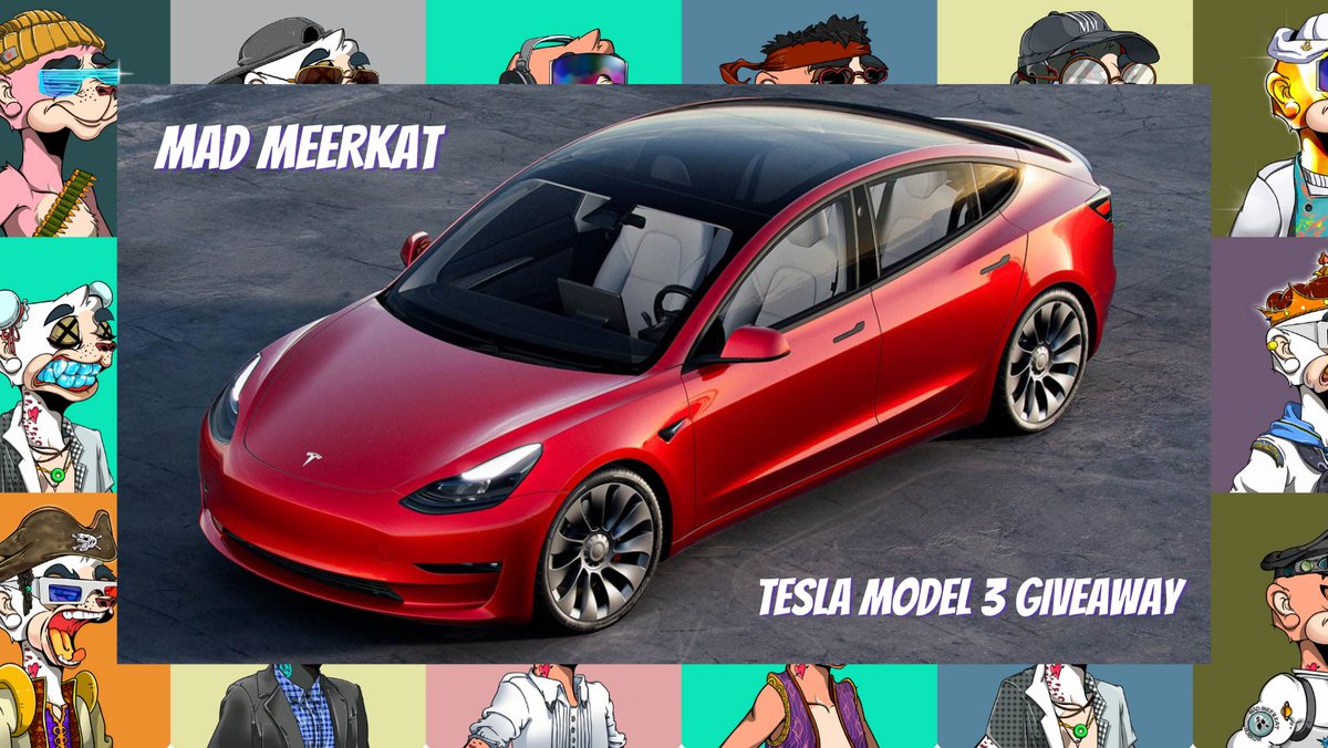MadMeerkatNFT's tweet photo. A Meerkat needs a (Meer)car. @MadMeerkatNFT is giving away 1 Tesla Model 3 (~$39k USD) to 1 holder upon sell-out. This will be raffled at random 72hrs after launch together with reveal. 

Follow, like, RT this message &amp; tag 3 people by 07 Nov to win 1 Mad Meerkat (1 entry!). LFG. https://t.co/baq9RNrYjV