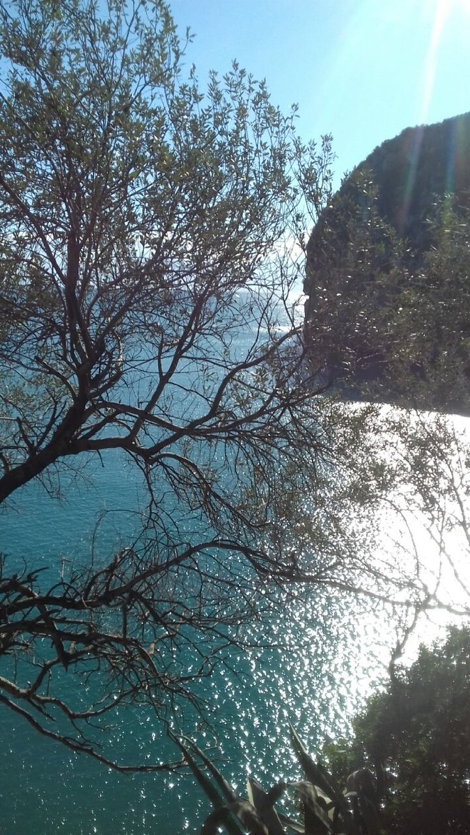 DANDOU012 tweet picture