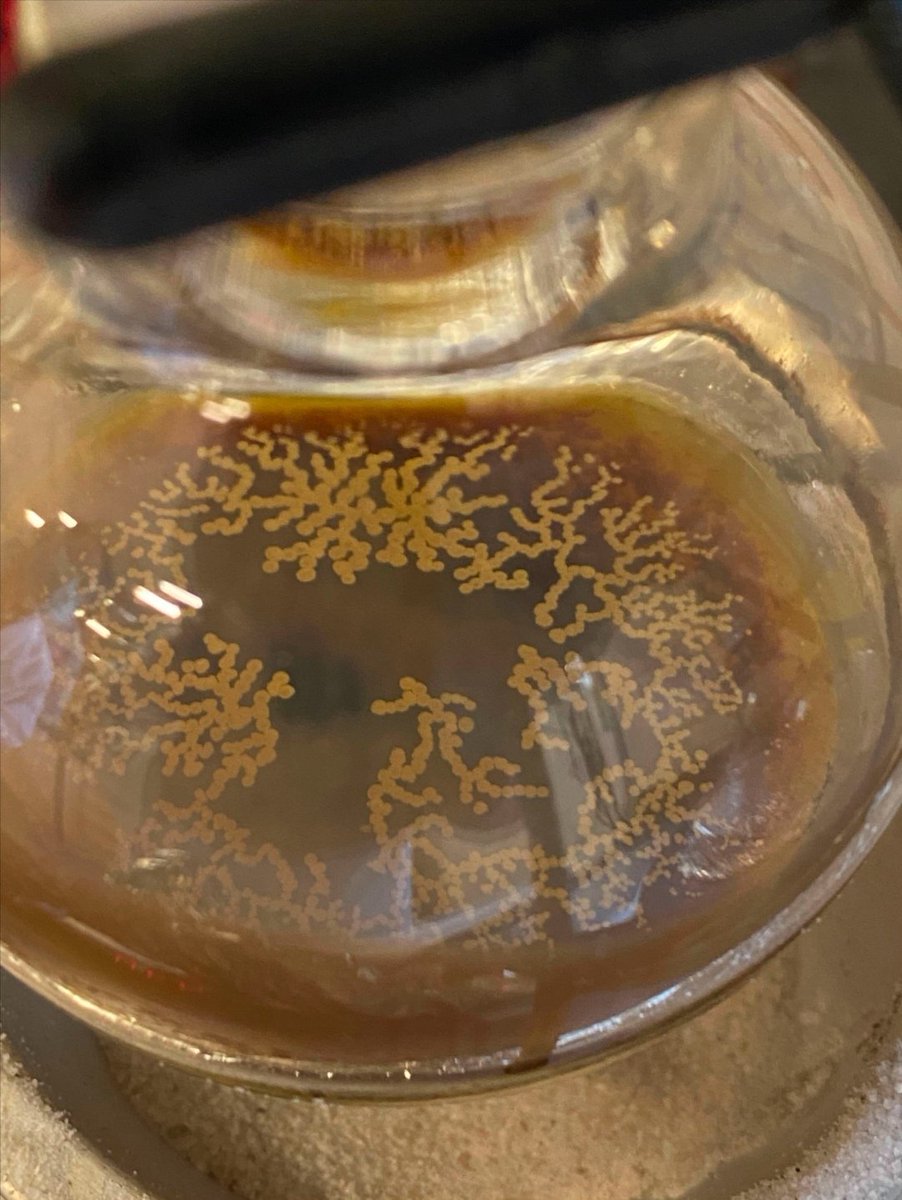 Love it when your product crashes out of the reaction mixture!! 😍😎 today is extra special with its strong under the sea vibe~ 🪸 (also hello yeast cultures?)
📷<a href="/marc8tom/">Marcus</a> 
#RealTimeChem