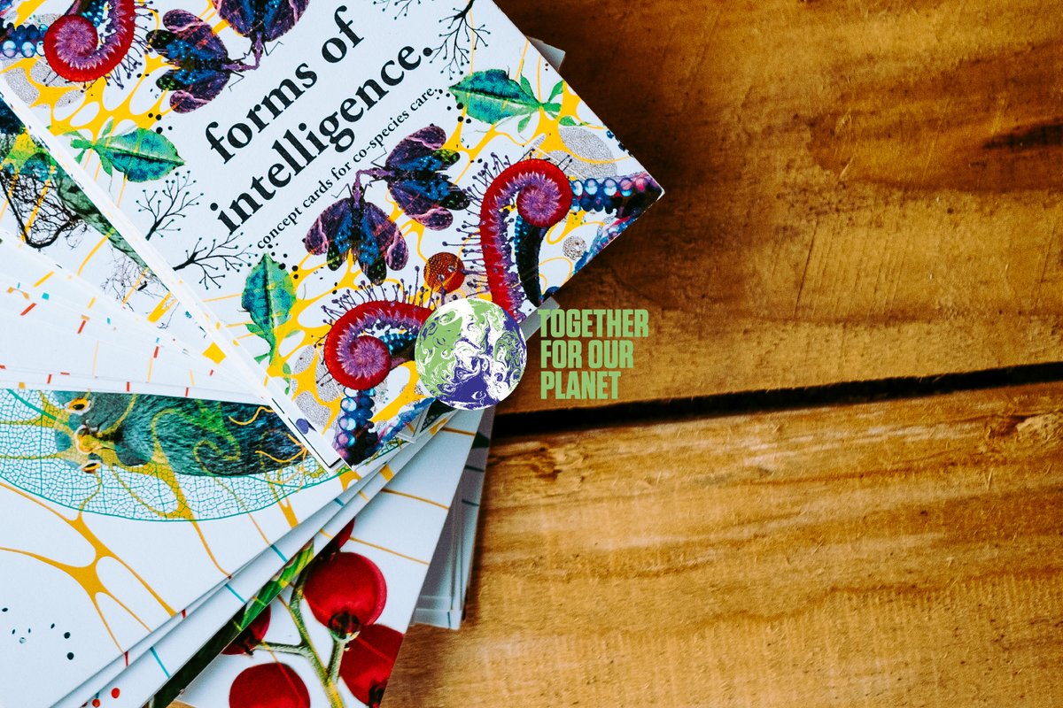 knowlewestmedia's tweet image. (1/9) Inspired by @COP26, we wanted to spend that time sharing practises that can make a difference in the climate emergency.   

Today, we have a very exciting LAUNCH of the ‘Forms of Intelligence’ website. 

formsofintelligence.eight.org.uk
