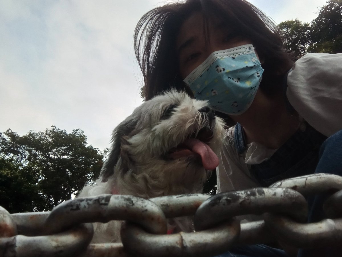 24Cheesecake's tweet photo. Doggo day 🐾♥️ https://t.co/b4K0S4xXCc