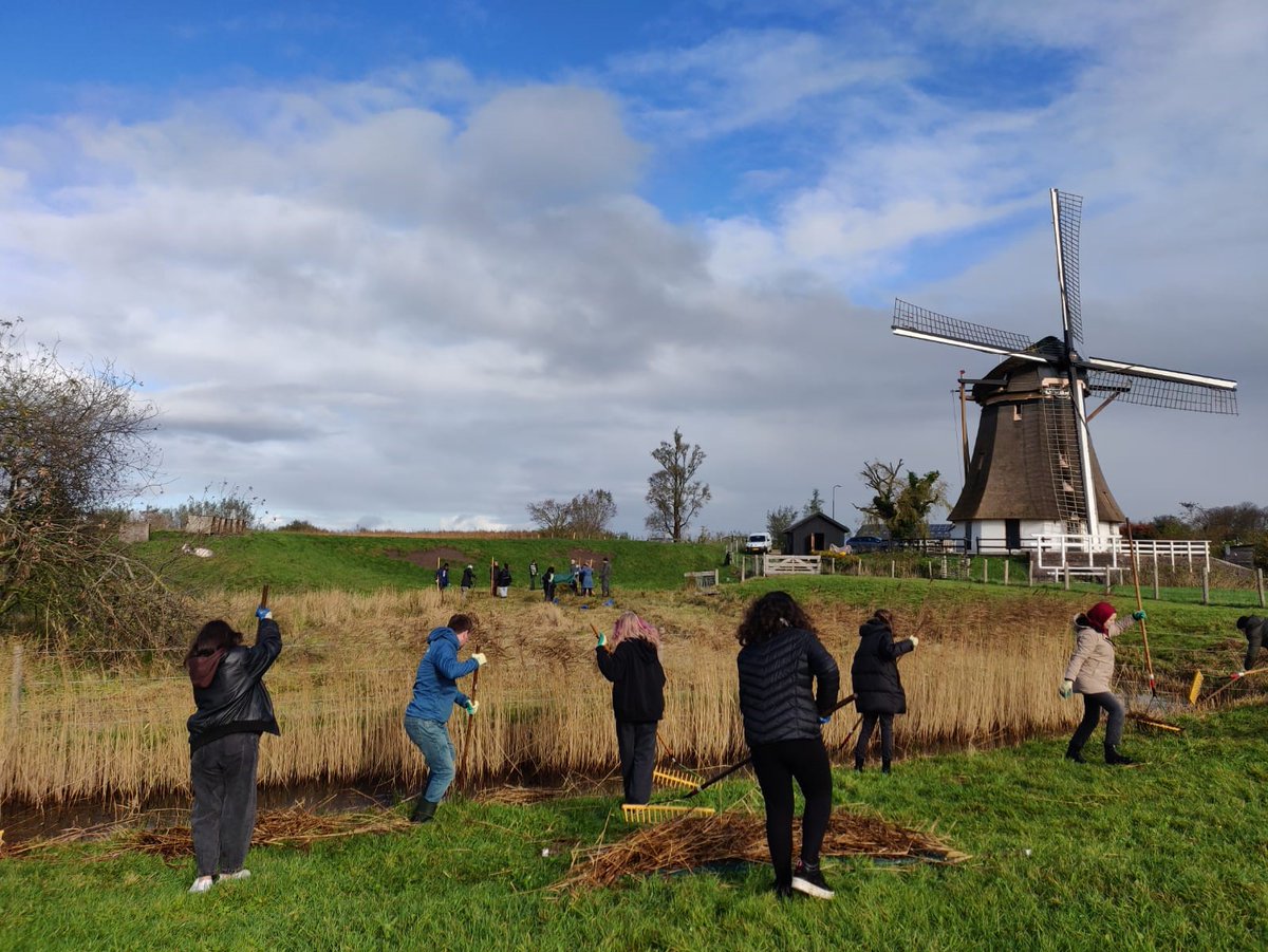 LandschErfgoed's tweet image. Goed werk in het groen en gezelligheid! Vandaag kwamen 165 leerlingen in actie tijdens de #Schoolnatuurwerkdag. In de provincie Utrecht werd gewerkt door leerlingen van scholen uit Wijk bij Duurstede, Woudenberg en Amsterdam. Morgen ook meedoen? natuurwerkdag.nl
