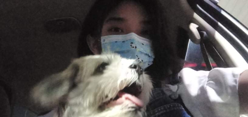 24Cheesecake's tweet photo. Doggo day 🐾♥️ https://t.co/b4K0S4xXCc