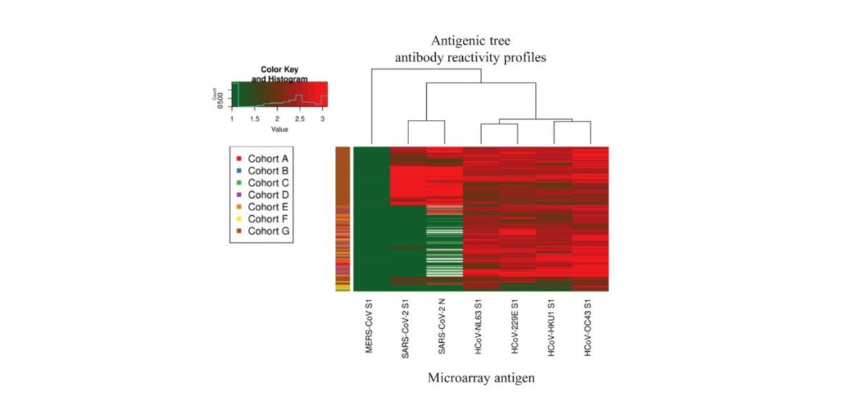 ArrayjetLtd's tweet image. @rivm have developed a #micoarray to distinguish between currently circulating human #coronaviruses. Crucial to #PublicHealth: bit.ly/3EQTvqW