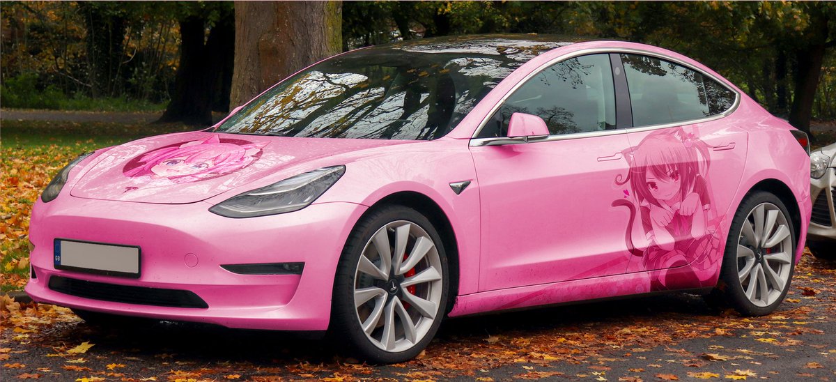 CaniBOTS_'s tweet photo. Catgirls look great on Teslas! @elonmusk https://t.co/6tQmtz1Yt6