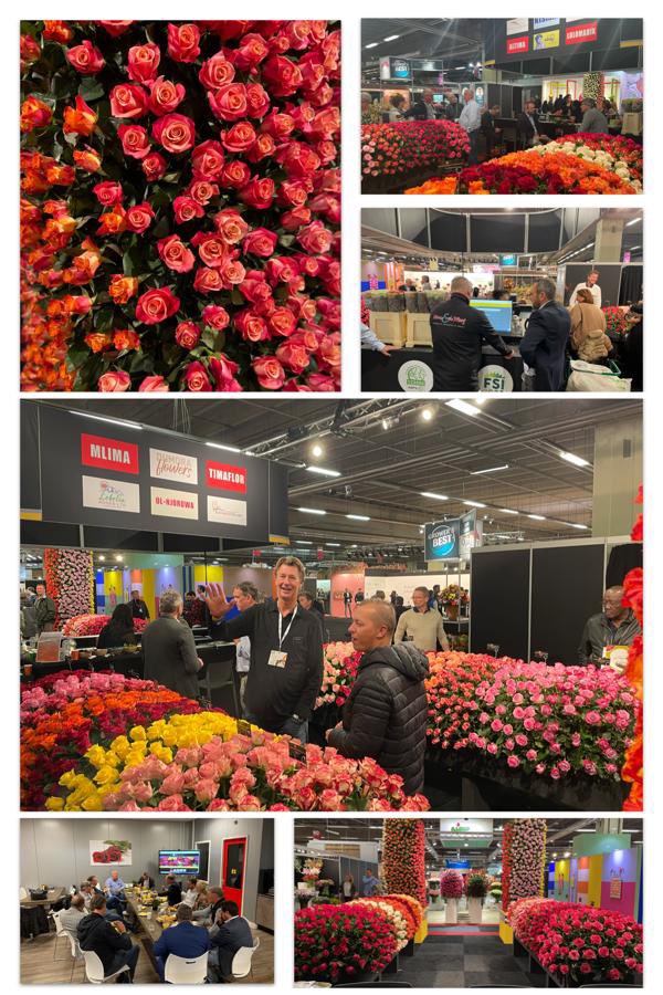 We thank all visitors, customers, growers and breeders for visiting our Fresco booth this year’s Trade Fair Aalsmeer. We hope you thoroughly enjoyed your visit and our hospitality. A special thanks to
Royal FloraHolland events to make this fair successful.