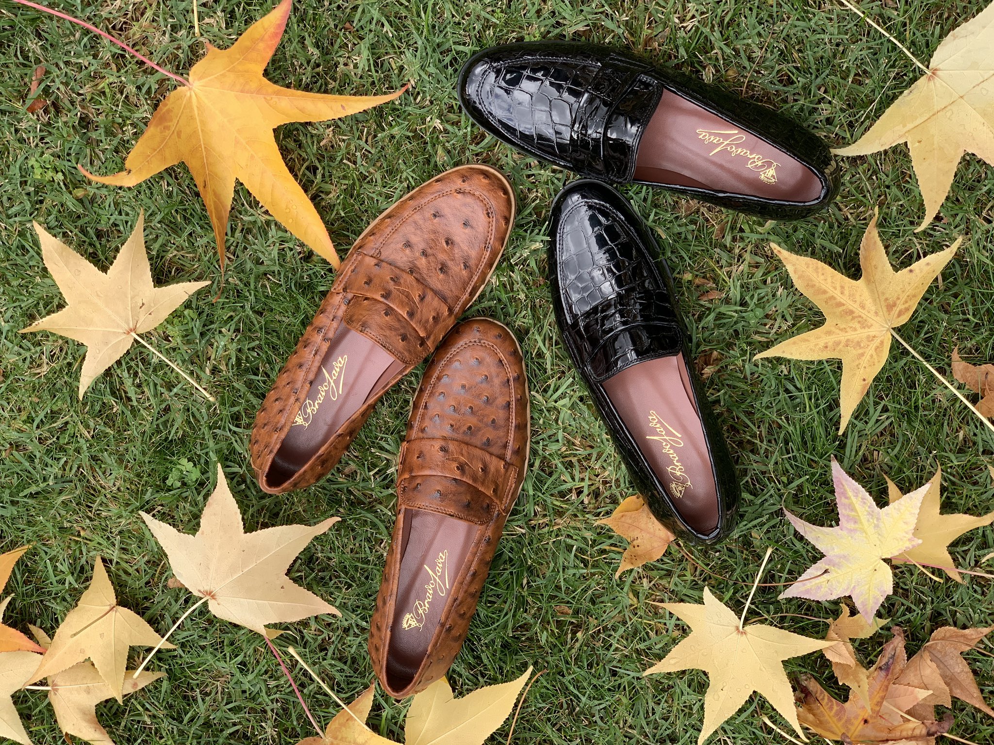 Mocasines bravo java sales