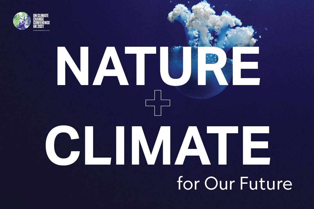 IPBES's tweet photo. 🌊Today is Ocean Action Day at #COP26🌊

Ocean conservation is essential to meeting the goals of the #ParisAgreement 🌊

Protecting the ocean will help turn the tide on biodiversity loss &amp; will also increase resilience &amp; adaptation to climate change

via @WyssCampaign https://t.co/0PDh4kzW61
