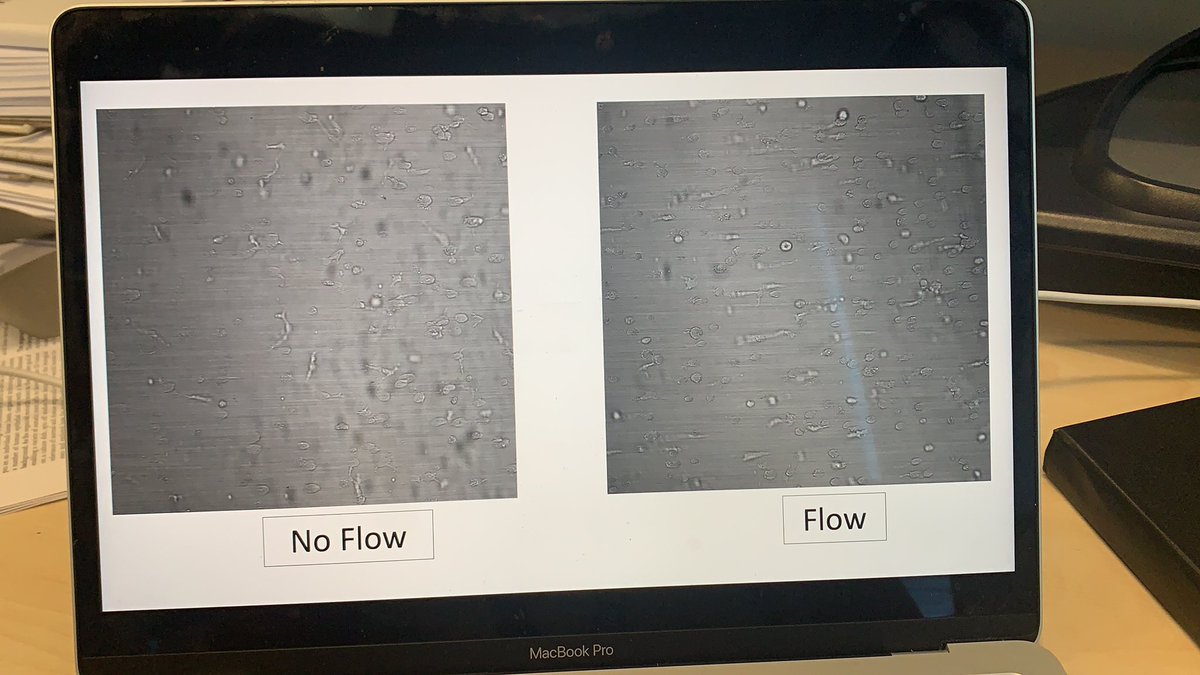 Something is a happening 🤞🤞🤞