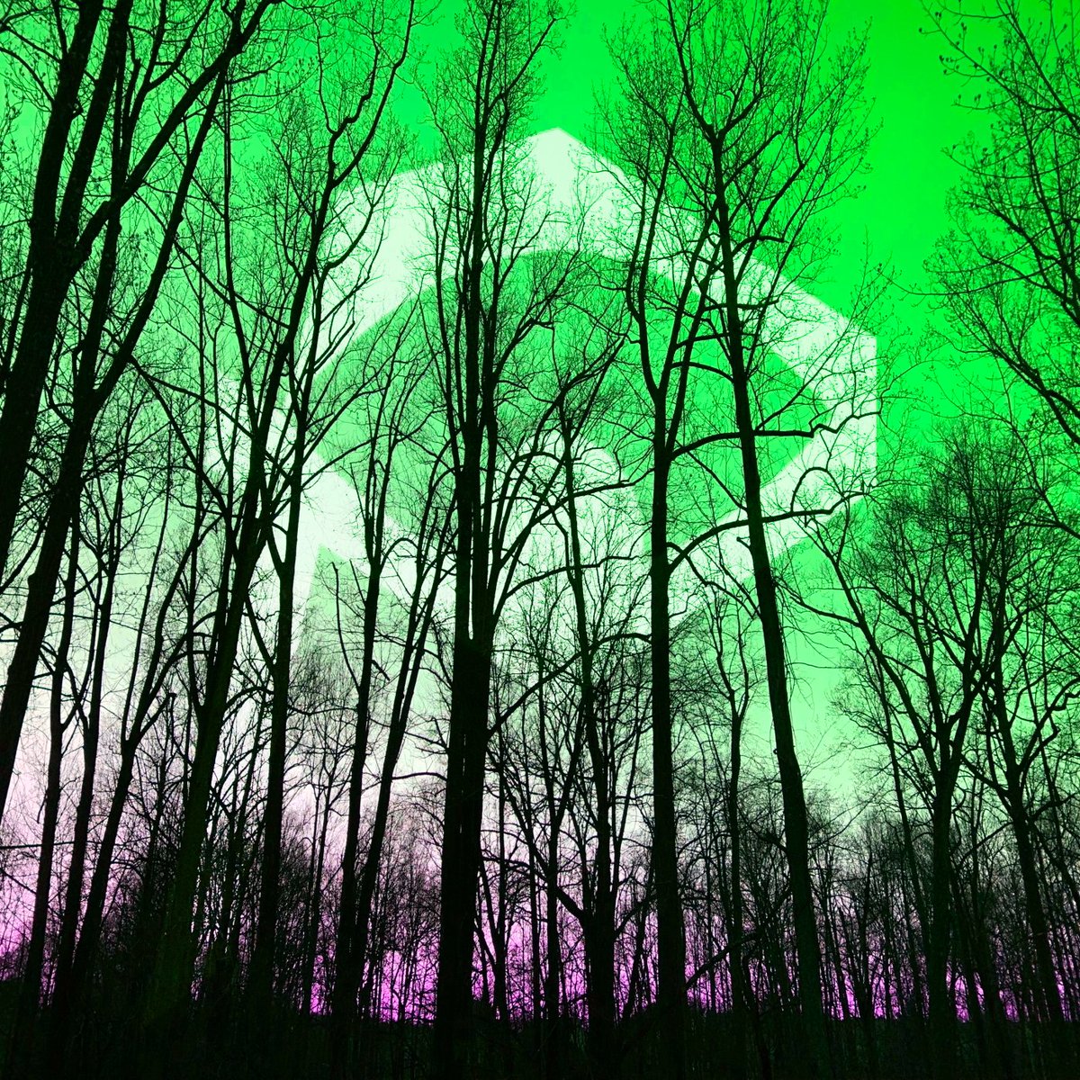 Edward Spark tweet media