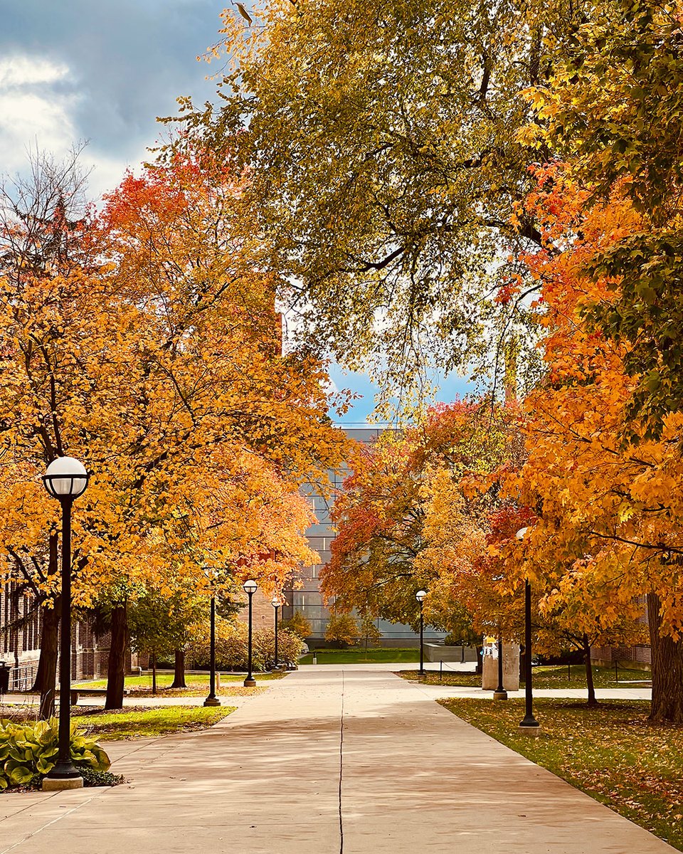 Alumni Association of the University of Michigan tweet media