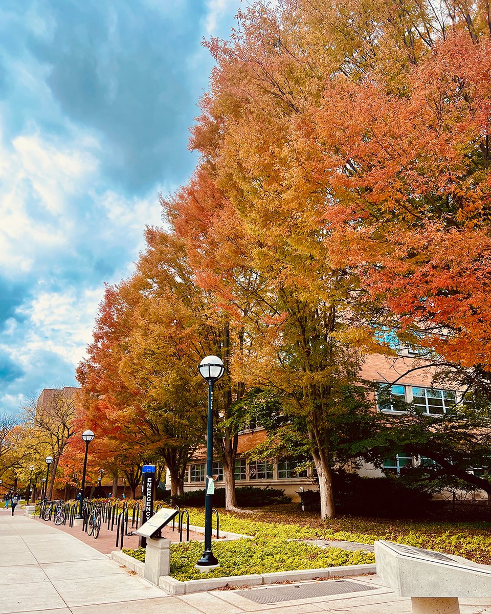 Alumni Association of the University of Michigan tweet media