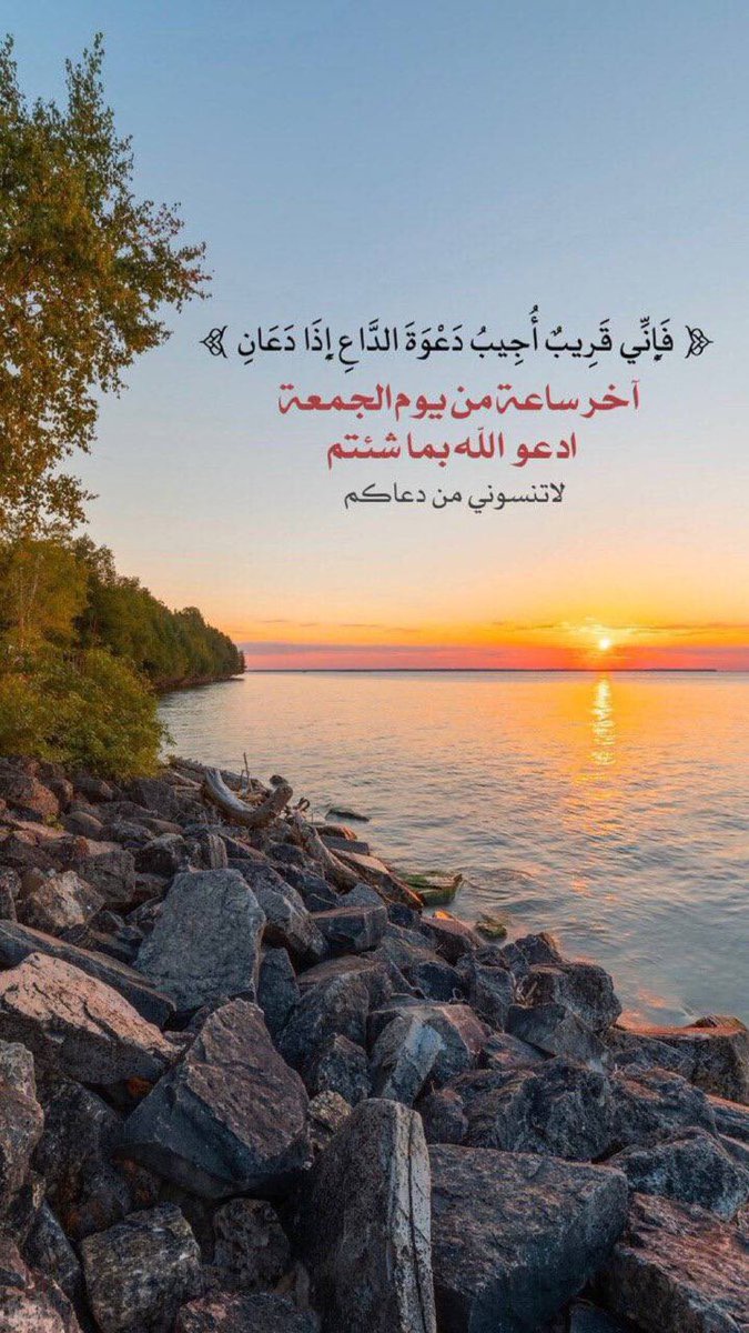 صلو عليه وسلموا تسليما 🌴