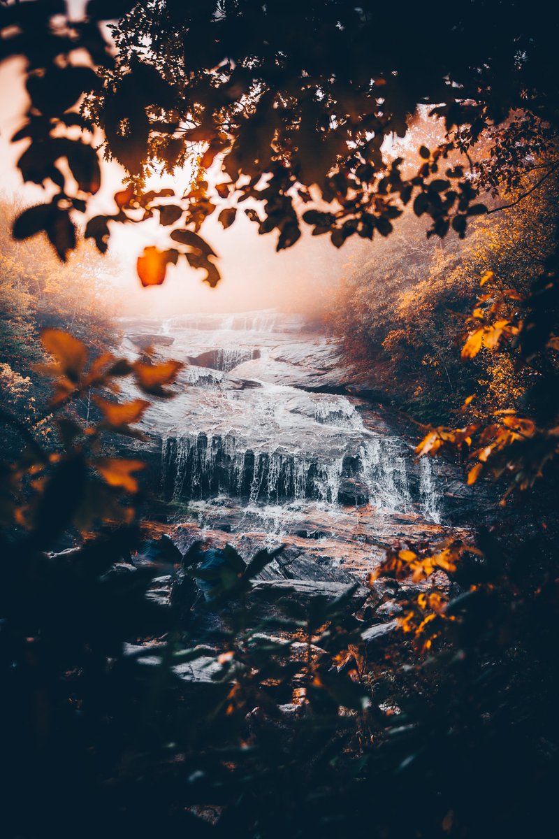 TropeReader's tweet image. 'Waiting to Fall' by @mpthecomebackid. 🍂  Featured in the Blue Ridge Print Collection. Shop now at #linkinbio