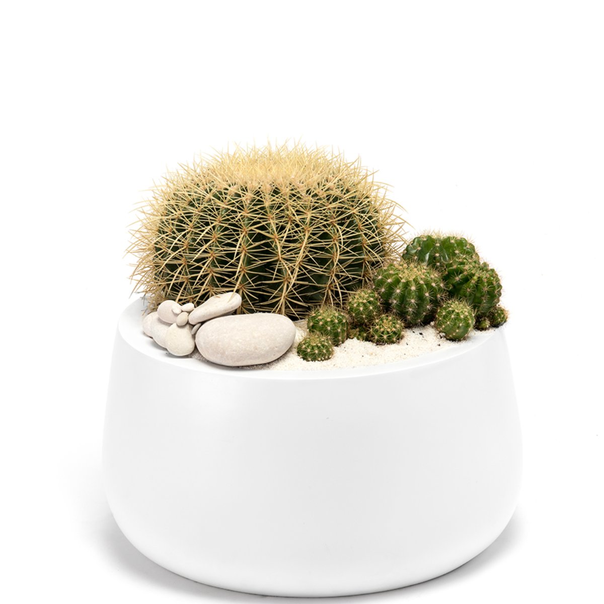 It's almost the season of giving. Bring them the gift of art and nature with this simple, but gorgeous Milano low bowl. shop.plantthefuture.com/milano-short-l…