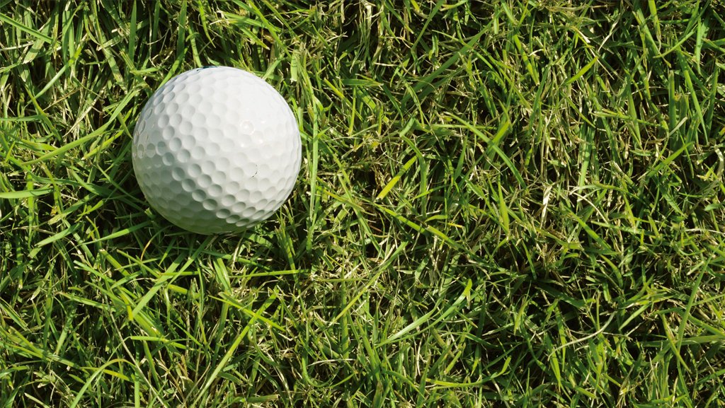 For your high-end sites, Zeon will provide the stunning appearance that will leave golf course members impressed and make homeowners the envy of the neighborhood. Learn more from <a href="/BuySodTurf/">Buy Sod/SodStar</a> – buysod.com/product-spotli…

<a href="/BuySodLeggett/">Buy Sod Leggett Farm</a> <a href="/BuySodAndy/">APVolsInTurf Alumni</a> <a href="/ClayGoodgine/">Clay Goodgine</a> #Ad