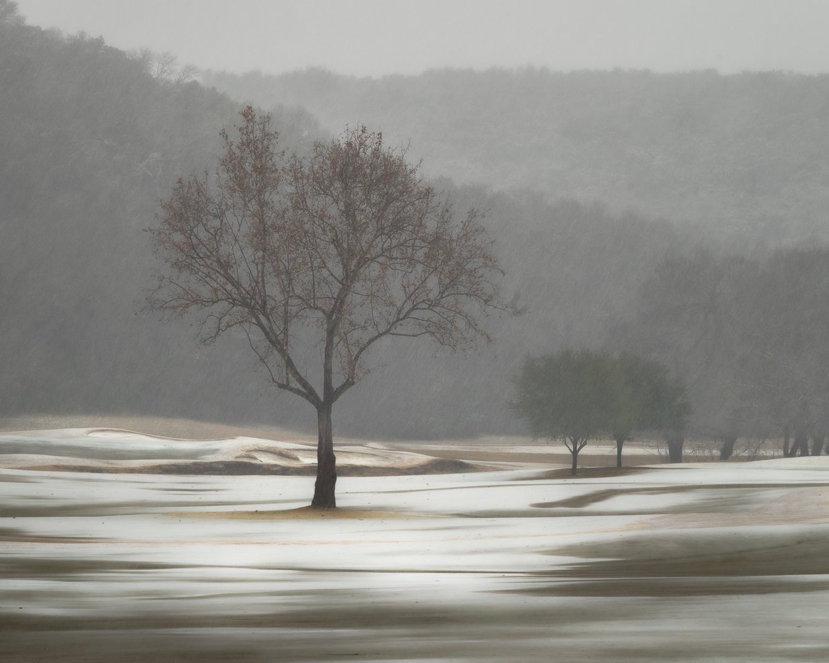 HawkerPhoto's tweet photo. @_vinpuc Texas Landscapes https://t.co/VaaZF6FIpS