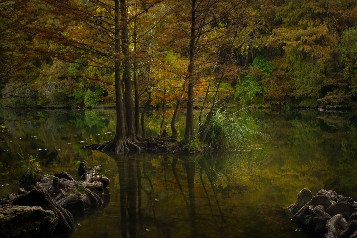 HawkerPhoto's tweet photo. @_vinpuc Texas Landscapes https://t.co/VaaZF6FIpS