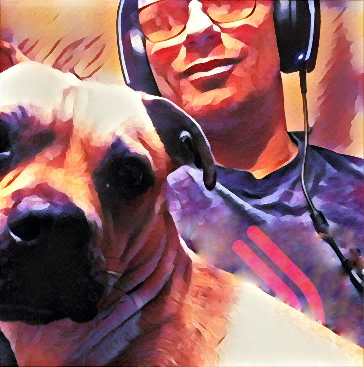 notabaddream's tweet image. This little pup is my ride or die and he keeps me from going on #tilt every day!! #ilovemypup ❤️
Follow @notabaddream