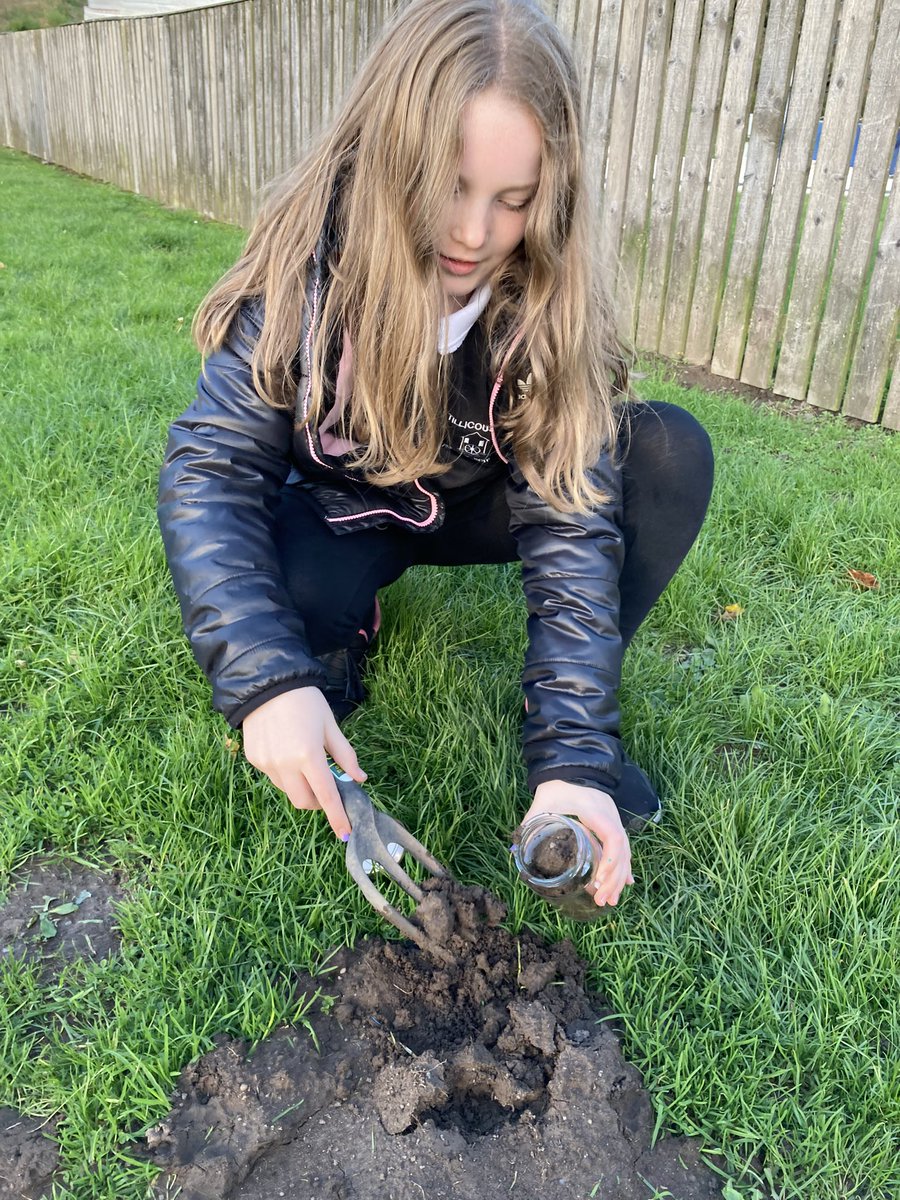 tillyps's tweet photo. P7 gathered soil for a very special experiment. We will share more photos once we have completed our Sediment Jars. @mini_lebowski @routledgebooks @ClacksOL https://t.co/MbLxyXoCAg