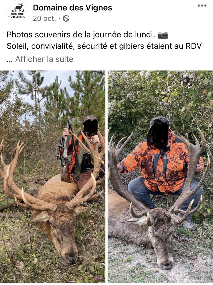 CharlyBoudet's tweet photo. Petits extraits de la page Facebook du domaine. Les chasseurs peuvent abattre aussi des mouflons…. https://t.co/iFG6J4VCN5