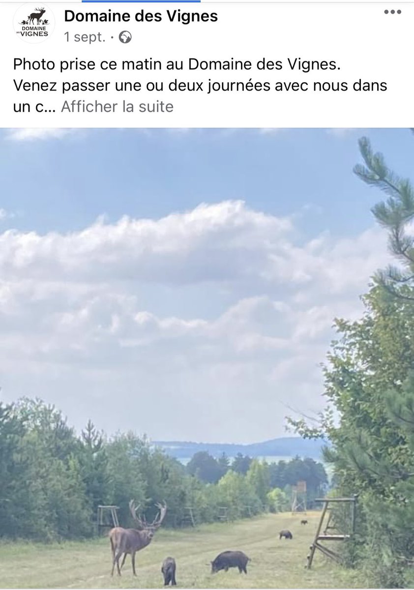 CharlyBoudet's tweet photo. Petits extraits de la page Facebook du domaine. Les chasseurs peuvent abattre aussi des mouflons…. https://t.co/iFG6J4VCN5