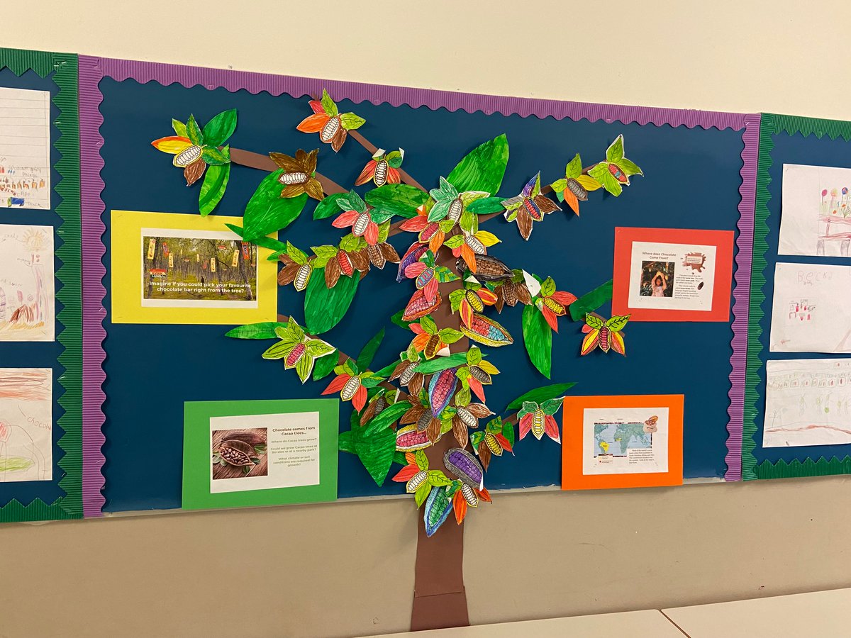 Birralee1973's tweet photo. Year 2 proudly finished their Chocolate Unit today! Wouldn’t it be amazing if chocolate grew on trees? Well, it does! Wouldn’t it be amazing if we could make some chocolate ourselves? Well, we did! And we discovered even more amazing things about chocolate… @The_IPC #trondheim https://t.co/nps0f8NiSM